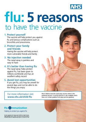 Flu : 5 reasons to have the vaccine (A3 poster)