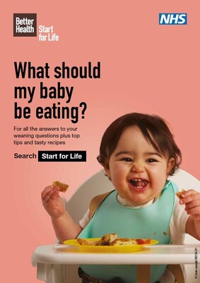 What should my baby be eating? (A4 poster)