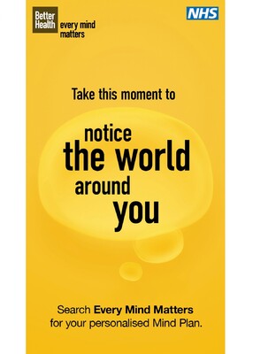 Take this moment to notice the world around you (9x16 digital screen)