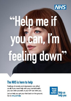 Help me if you can, I'm feeling down (A4 poster)