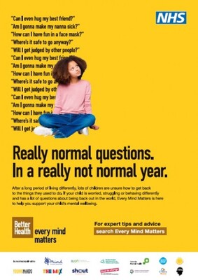 Really normal questions - girl (A4 poster)